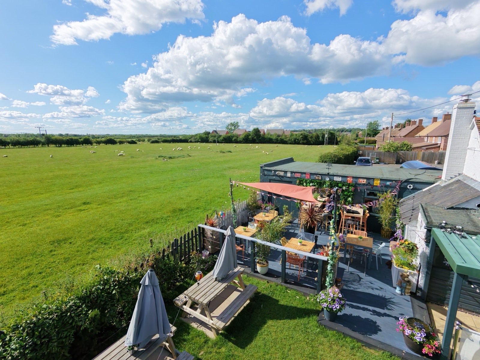 The Masons Arms' rear terrace with picnic tables and umbrellas, overlooking an open, sheep-grazed field under a blue sky.